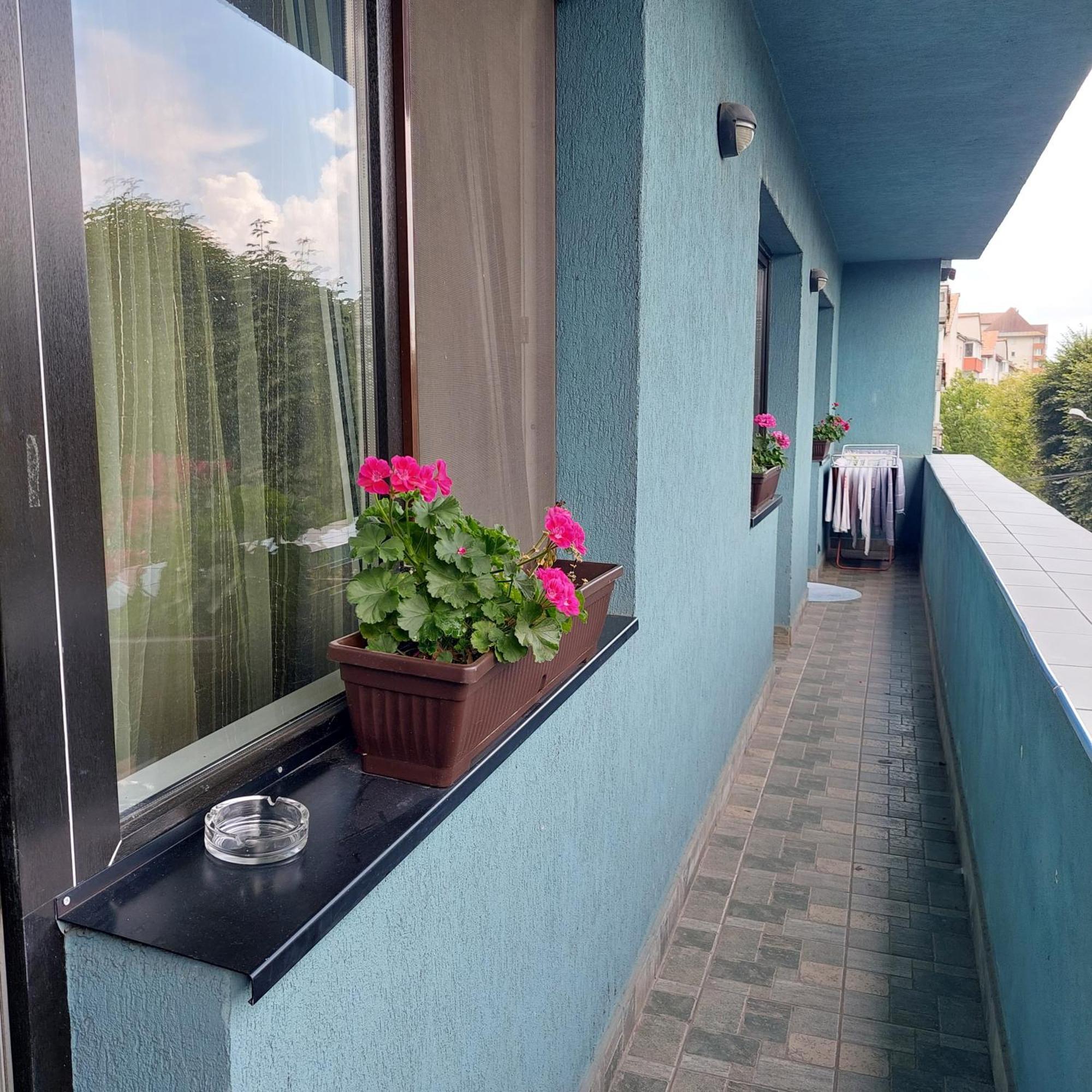 Apartment Very Big Bistrita (Bistrita-Nasaud)